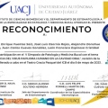 Ampliar imagen: certificate 5
