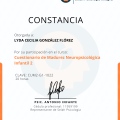 Ampliar imagen: certificate 11