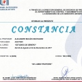 Ampliar imagen: certificate 22