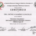 Ampliar imagen: certificate 27
