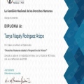 Ampliar imagen: certificate 19