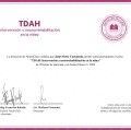 Ampliar imagen: certificate 8