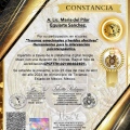 Ampliar imagen: certificate 4