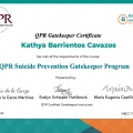 Ampliar imagen: certificate 3