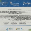 Ampliar imagen: certificate 12
