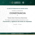 Ampliar imagen: certificate 3