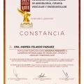 Ampliar imagen: certificate 2