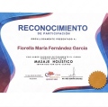 Ampliar imagen: certificate 2