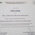 Ampliar imagen: certificate 1