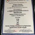 Ampliar imagen: certificate 2