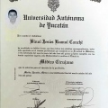 Ampliar imagen: certificate 3