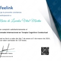 Ampliar imagen: certificate 16