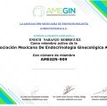 Ampliar imagen: certificate 2