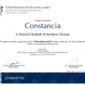 Ampliar imagen: certificate 11