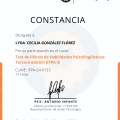 Ampliar imagen: certificate 9