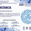 Ampliar imagen: certificate 4