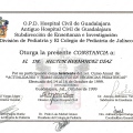 Ampliar imagen: certificate 28