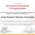 Ampliar imagen: certificate 3