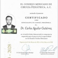 Ampliar imagen: certificate 5