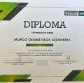 Ampliar imagen: certificate 8