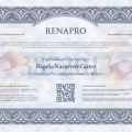 Ampliar imagen: certificate 1