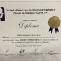 Ampliar imagen: certificate 5