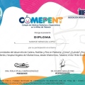Ampliar imagen: certificate 38