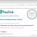 Ampliar imagen: certificate 4