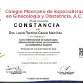 Ampliar imagen: certificate 6