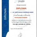 Ampliar imagen: certificate 7
