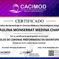Ampliar imagen: certificate 1