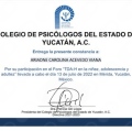 Ampliar imagen: certificate 8