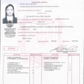 Ampliar imagen: certificate 3