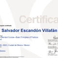 Ampliar imagen: certificate 3