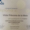 Ampliar imagen: certificate 5