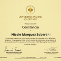 Ampliar imagen: certificate 11