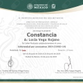 Ampliar imagen: certificate 3