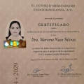 Ampliar imagen: certificate 1