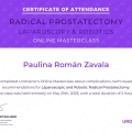 Ampliar imagen: certificate 3
