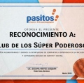 Ampliar imagen: certificate 28