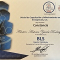 Ampliar imagen: certificate 8