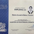 Ampliar imagen: certificate 14