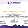 Ampliar imagen: certificate 56