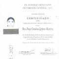 Ampliar imagen: certificate 8