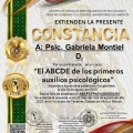 Ampliar imagen: certificate 8