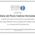 Ampliar imagen: certificate 5