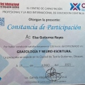 Ampliar imagen: certificate 5