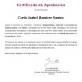 Ampliar imagen: certificate 4