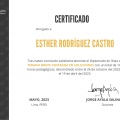 Ampliar imagen: certificate 2
