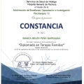 Ampliar imagen: certificate 11
